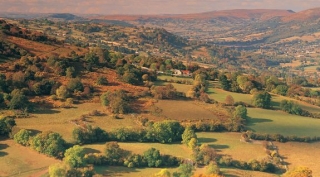 Surrounding landscape